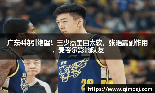 广东4将引绝望！王少杰奎因太软，张皓嘉副作用，麦考尔影响队友