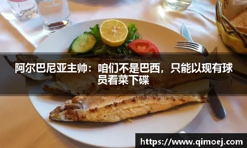 阿尔巴尼亚主帅：咱们不是巴西，只能以现有球员看菜下碟