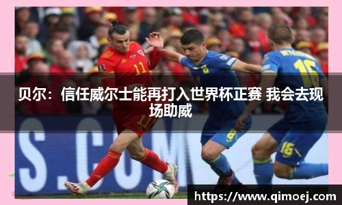 贝尔：信任威尔士能再打入世界杯正赛 我会去现场助威